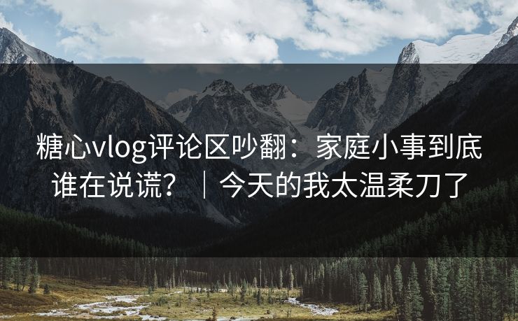糖心vlog评论区吵翻:家庭小事到底谁在说谎?|今天的我太温柔刀了 糖心vlog评论区吵翻:家庭小事到底谁在说谎?|今天的我太温柔刀了